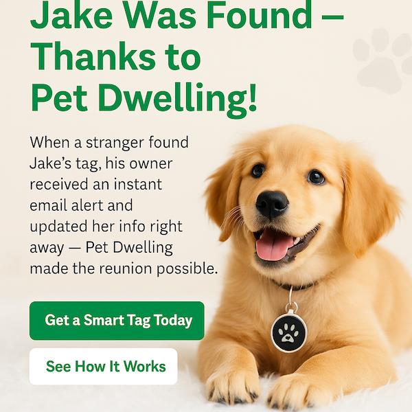 Pet Dwelling Tag