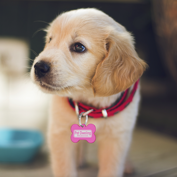 Pet Dwelling Tag