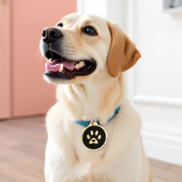 Pet Dwelling Tag