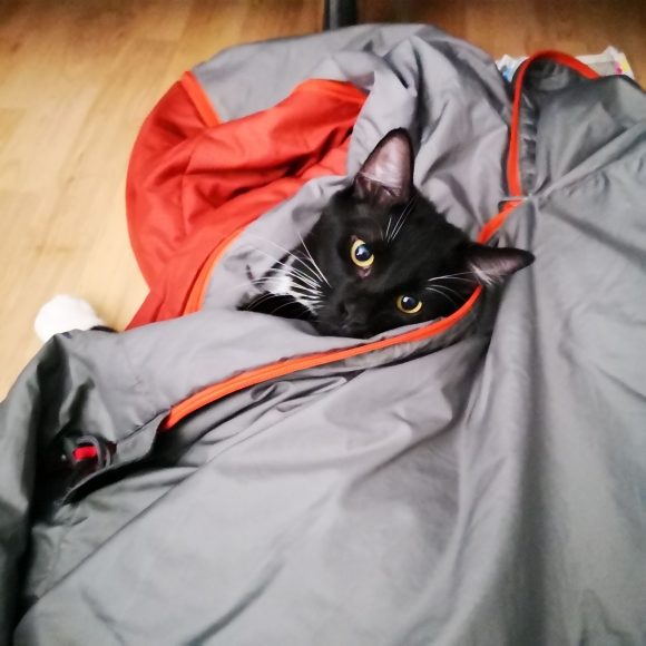 La Fouine Pet Dwelling La Fouine Pet Dwelling