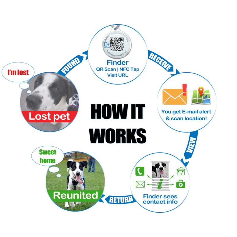 Recovering your lost pet